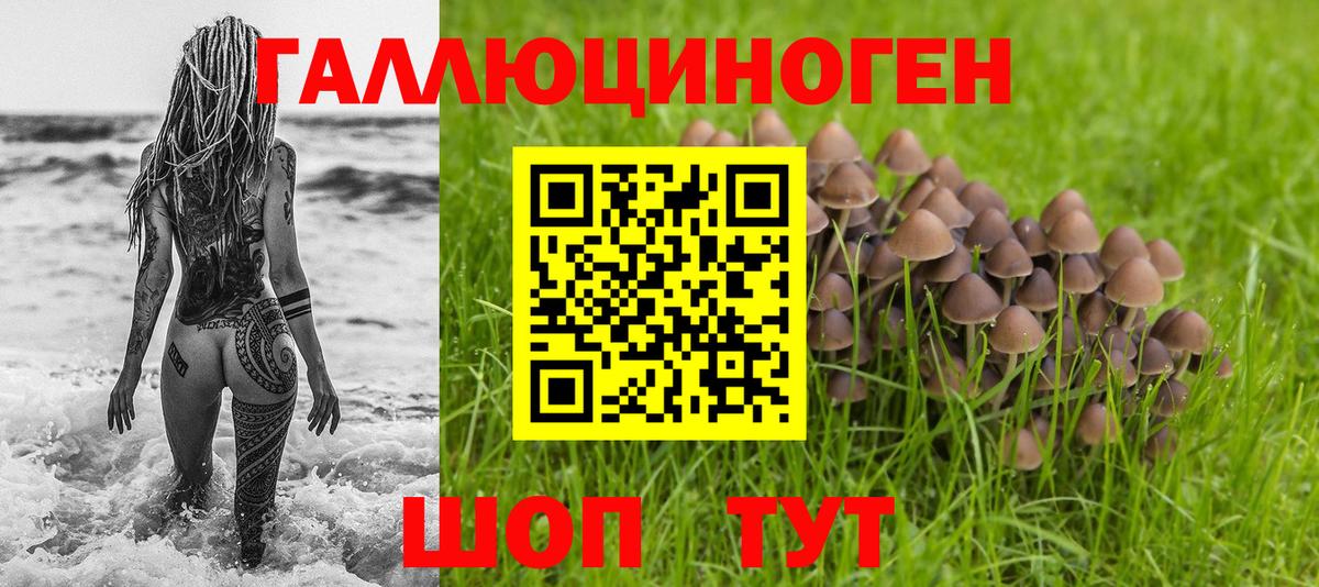 Псилоцибиновые грибы GOLDEN TEACHER Соль-Илецк