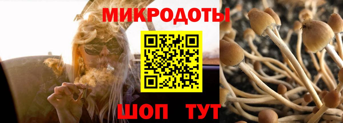 Галлюциногенные грибы прущие грибы  Вход с VPN  Галлюциногенные грибы прущие грибы  как найти закладки  Соль-Илецк 